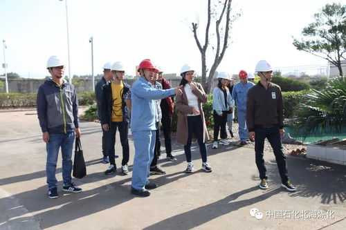 走绿色发展之路，树环保标杆企业——环境保护监测的核心使命与实践路径